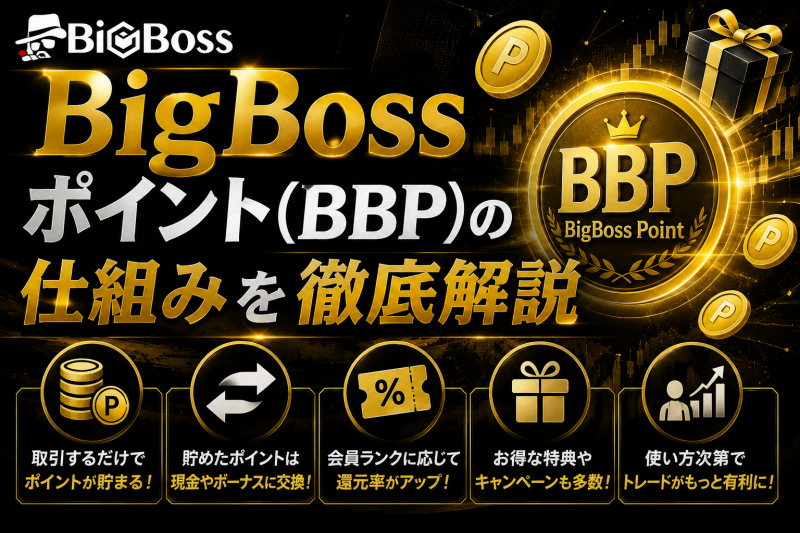 bigbossのBBP詳細解説
