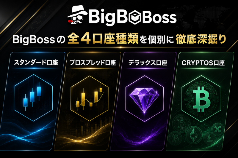 bigbossの口座種類を深掘り