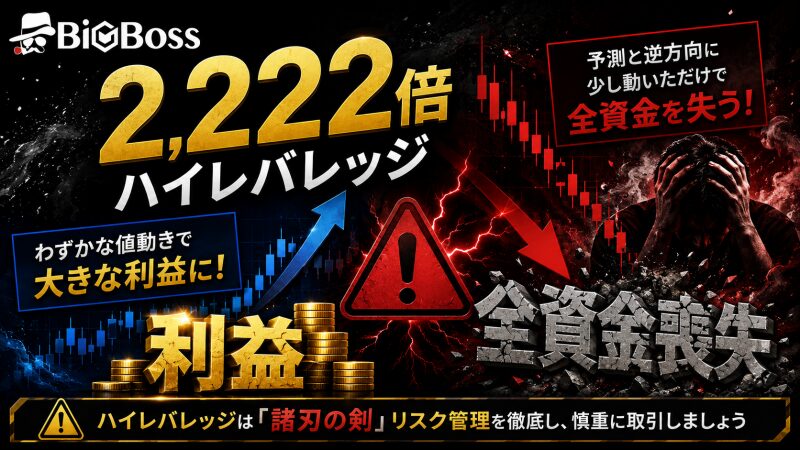 Bigbossのレバレッジ２２２２倍にはリスクもある