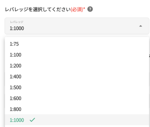 bitcastleFX 新規口座開設時のレバレッジ設定